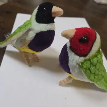 컬러풀 새 봉제 인형 2마리