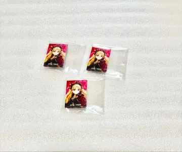 fgo 아레코레 푸치 CAN 배지 세트 엘레쉬키갈