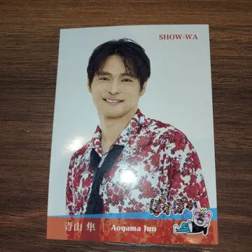 SHOW-WA 아오야마 준 포카포카 스티커