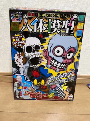 공포! 두근두근 크러쉬 인체 모형