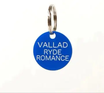 VALLAD RYDE ROMANCE 키링 IO 착용