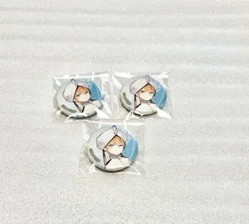 fgo 아레코레 쁘띠 CAN 배지 세트 네모