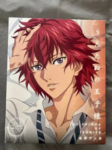 테니스의 왕자님 우타타네의 왕자님 마루이 분타