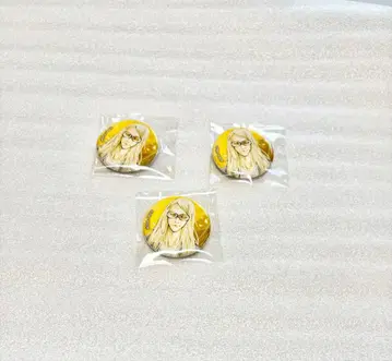 fgo 이것저것 쁘띠 CAN 배지 세트 테스카틀리포카