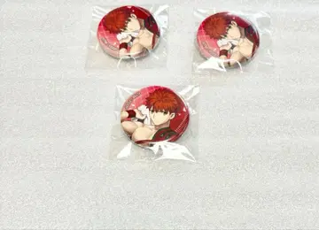 fgo 아레코레 쁘띠 CAN 배지 세트 무라마사