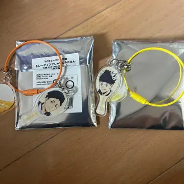 하이큐!! 오오토야 보쿠토 코타로