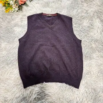 캐시미어 블렌드 니트 베스트 [ L ] 퍼플 울 V넥 얇은 소재