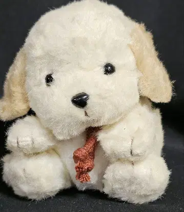 조이풀 메이트 오테다마 퐁텐느 골든 리트리버 개