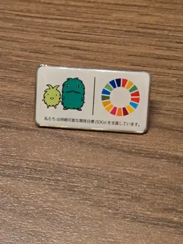 모리조와 킷코로 SDG 핀 배지