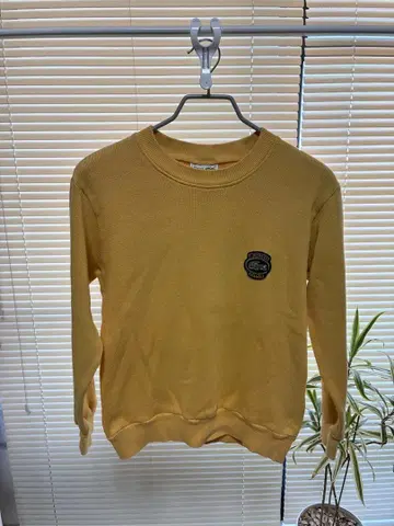 머스타드 크루넥 코튼 스웨터