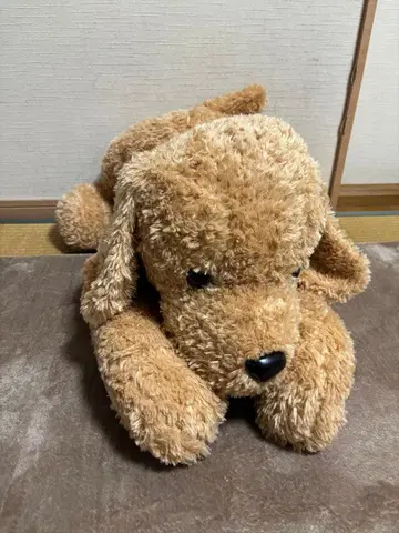 [특대형] 개 봉제 인형