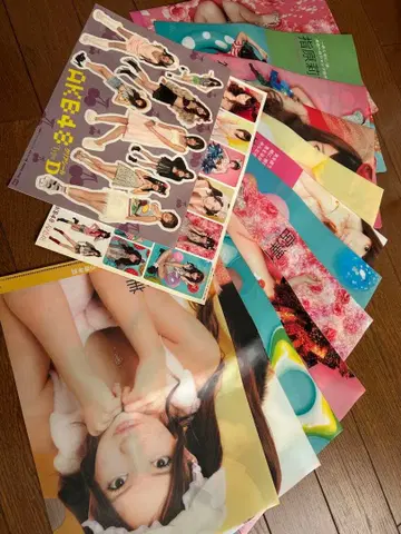 AKB48 클리어 파일 세트