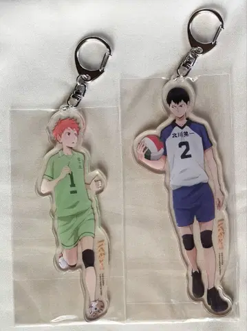 하이큐!! 추억 전신 아크릴 키링 히나타 카게야마