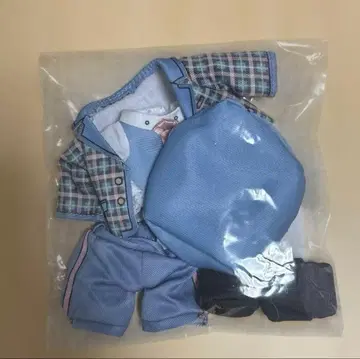 시노미야 나츠키 누이 스타 코스튬 DMS 로빈