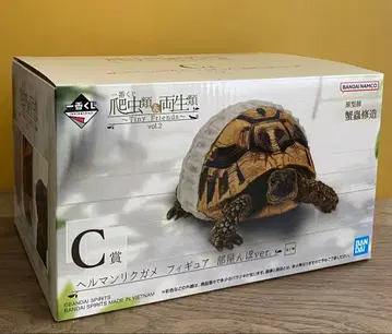 제일복권 파충류 & 양서류 ~Tiny Friends~ vol.2 C상