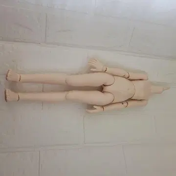 보크스 MDD 구 바디 세미 화이트