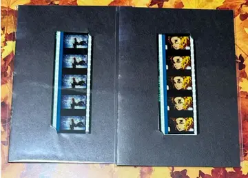 귀멸의 칼날 영화 특전 필름 렌고쿠 쿄쥬로 렌고쿠 센쥬로