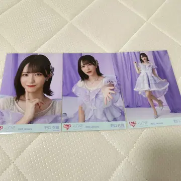 아이돌 사진 3장 세트 보라색 2023년 1월