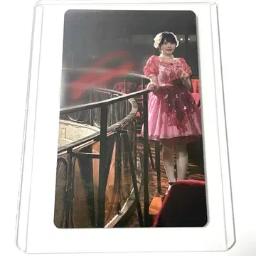 팬텀 시타 모나 사인 트레이딩 카드