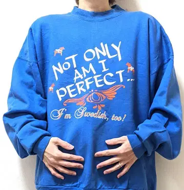 헤인즈 영문 맨투맨 블루 파란색 XL 구제 의류