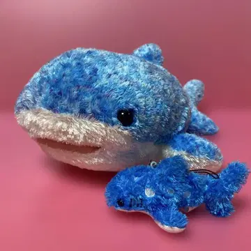 츄라우미 수족관 봉제 인형 진베이 상어 약 35cm 사이즈 봉제 인형