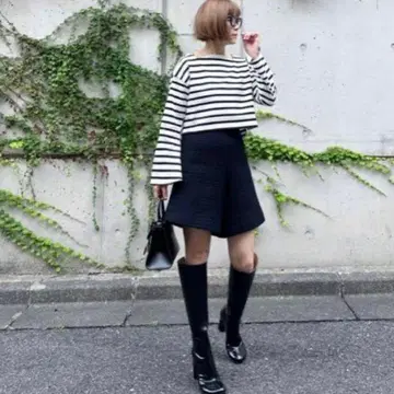 cygne 보더 상의 Luc