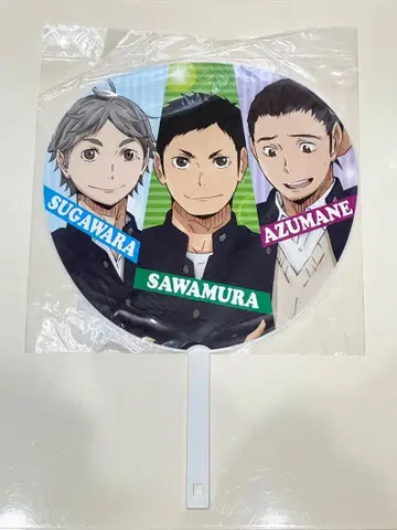 하이큐 빅 부채