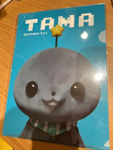 교육 방송 타마짱 A4 사이즈 클리어 파일 미사용 새상품