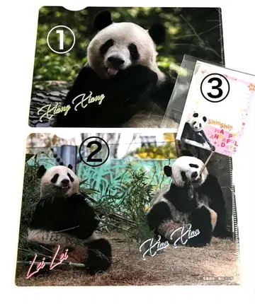 샹샹 샤오샤오와 레이레이 클리어 파일 신신 우에노 마츠자카야