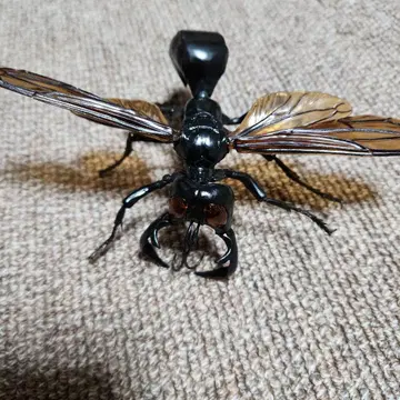 생물대도감 메갈라라 가루다