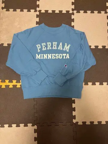 Champion PERHAM MINNESOTA 맨투맨 M