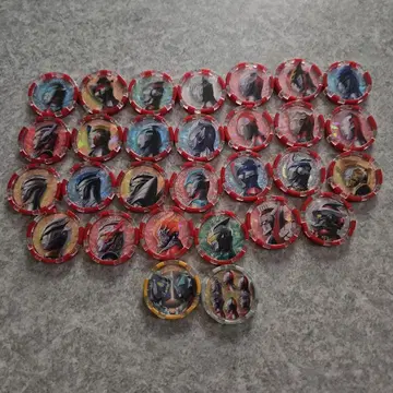 울트라 메달 29개