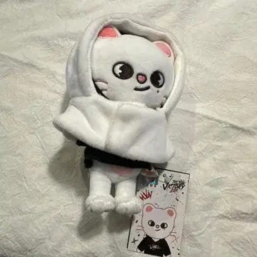 스키즈 SKZOO 지니레트 펜라 커버 포함