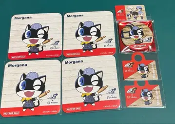 페르소나 P-AR 베이커 모르가나 세트