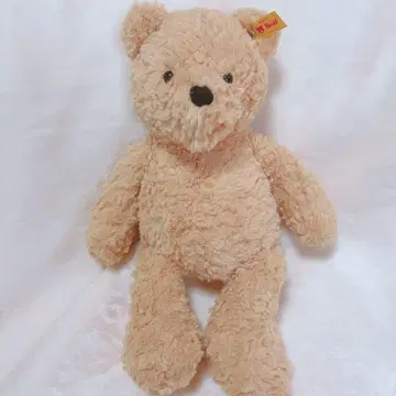 [ 내일 발송 가능 ] 슈타이프 지미 테디베어 곰 [ 가격 인하 가능 ]