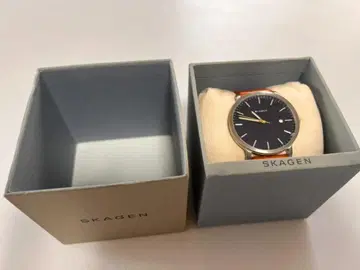SKAGEN 가죽 블루 x 브라운 박스 있음 배터리 교환 필요