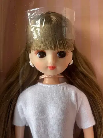 2024년 1월 셀렉션 모델 리카짱