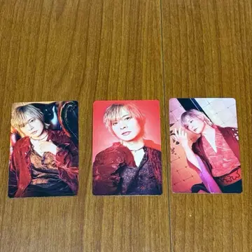 오카모토 노부히코 포토 카드 키라자쿠라 3종 컴프