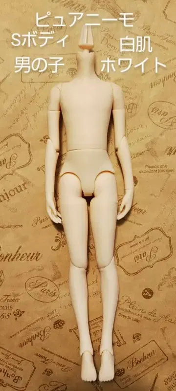 배송비 포함*내추럴 손*퓨어니모 플렉션 S/남아 바디/화이트 스킨/화이트