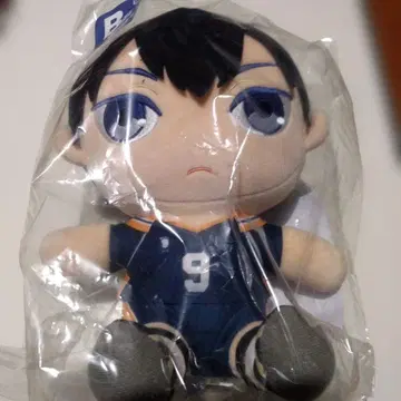 하이큐!! 후류 복권 B상 누이못치 카게야마 토비오