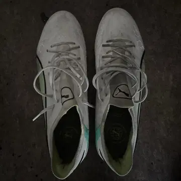 Puma 축구화 스파이크 화이트/민트