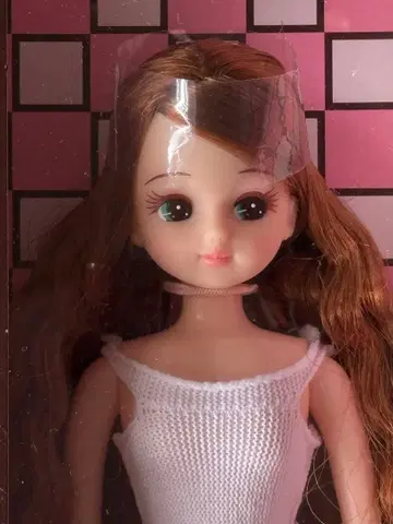 2019 아이콘 모델 리카짱