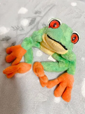 ty 봉제 인형 개구리 Panama 비니 베이비 구하기 어려움