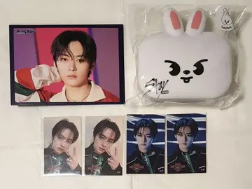 straykids 리노 minibox 랜덤 스티커