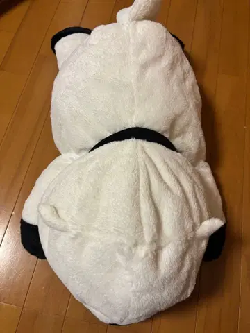 SEGA 스파이 패밀리