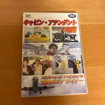 캐빈 어텐던트의 길 DVD