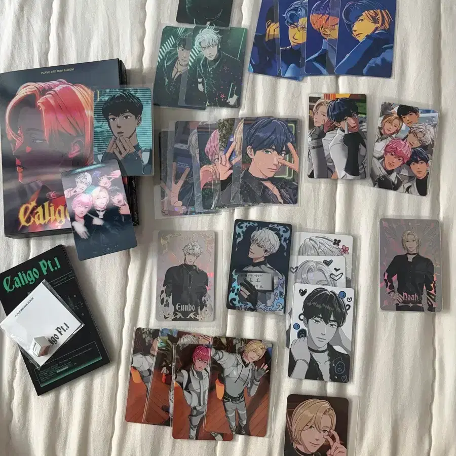 Caligo bulk Playve Noah ld ship cafe