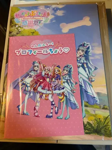 원프리 원더풀 프리큐어! 감사제 팜플렛