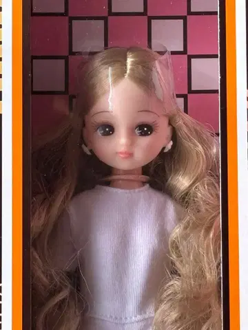 2022년 일본바시 BASIC 모델 리카짱