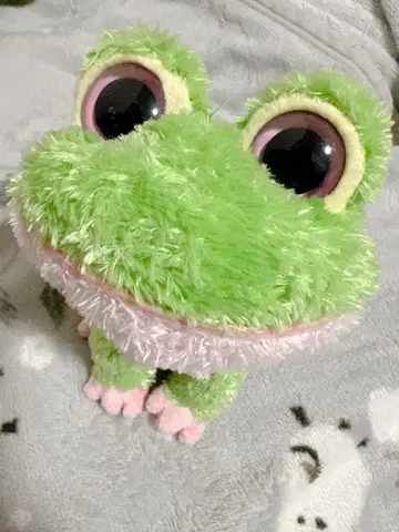 ty 봉제 인형 개구리 비니 BEANIE BOOS